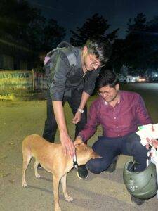 %search_query | Lumipaws – NEST Leaders